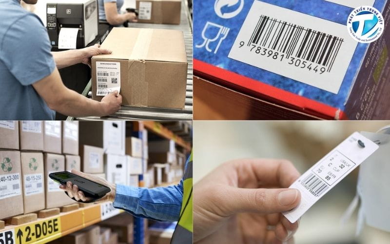 Lựa chọn máy in mã vạch phù hợp với nhu cầu thực tế